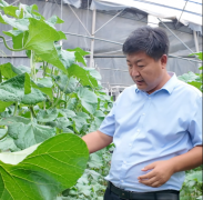 强农前锋丨张国伟：热土情深